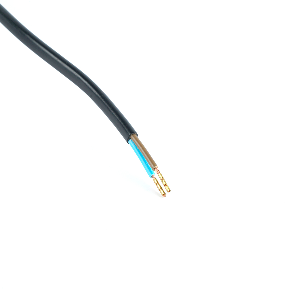 Сетевой шнур (с ножным выключателем) черный, DM106 от компании Ферон