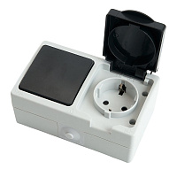 Блок розетка 1-местная с/з+  выключатель 1-клавишный STEKKER, PST16-11-54/10-111-54, серый/графит  32759