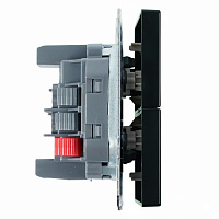 Переключатель 2-клавишный (механизм), СЗК, STEKKER, 250В, 10А, серия Эмили, RSW10-5107-05ZK, черный уголь, soft touch 50249