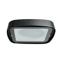 Светильник складской Feron AL1005  IP65 100W 120° 4000K  Светильник складской Feron AL1005  IP65 100W 120° 4000K