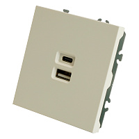 Розетка 2-местная USB + Type C (механизм), STEKKER, 250В, 20W, серия Эмили, RST10-5115-01, белый фарфор, soft touch  49879 Розетка 2-местная USB + Type C (механизм), STEKKER, 250В, 20W, серия Эмили, RST10-5115-01, белый фарфор, soft touch  49879