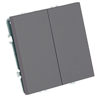 Переключатель 2-клавишный (механизм), СЗК, STEKKER, 250В, 10А, серия Эмили, RSW10-5107-10ZK, платиново-серый, soft touch 50241