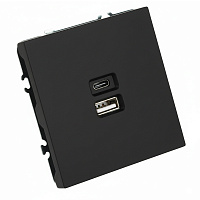 Розетка 2-местная USB + Type C (механизм), STEKKER, 250В, 20W, серия Эмили, RST10-5115-05, черный уголь, soft touch 49853