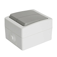 Выключатель 2-клавишный, STEKKER, PSW10-221-54, открытой установки, 250В, 10А, IP54, белый/серый 49733