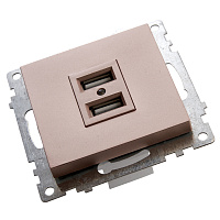Розетка USB 2-местная (механизм), STEKKER GLS10-7115-02, 250B, 2,1A, серия Катрин, шампань 39602 Розетка USB 2-местная (механизм), STEKKER GLS10-7115-02, 250B, 2,1A, серия Катрин, шампань 39602