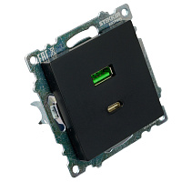 Розетка 2-местная USB + type C (механизм), STEKKER GLS10-7116-05, 250B, 3А, серия Катрин, черный 50055 Розетка 2-местная USB + type C (механизм), STEKKER GLS10-7116-05, 250B, 3А, серия Катрин, черный 50055