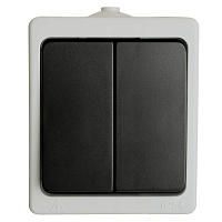 Выключатель 2-клавишный, STEKKER, PSW10-121-54, открытой установки, 250В, 10А, IP54, серый/графит 32753