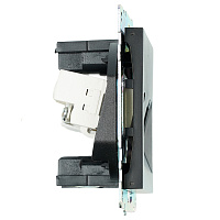 Розетка TV + компьютерная RJ-45 (механизм), STEKKER GLS00-7106-05, серия Катрин, черный 49182 Розетка TV + компьютерная RJ-45 (механизм), STEKKER GLS00-7106-05, серия Катрин, черный 49182