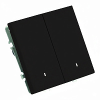 Выключатель 2-клавишный c индикатором (механизм), STEKKER, 250В, 10А, серия Эмили, RSW10-5102-05, черный уголь, soft touch 49838