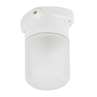 Светильник НББ 01-60-101 112х137х112мм, E27 max 60Вт, прямой керам. корпус, стекло, IP65, белый 53164