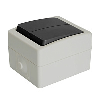 Выключатель 2-клавишный, STEKKER, PSW10-121-54, открытой установки, 250В, 10А, IP54, серый/графит 32753