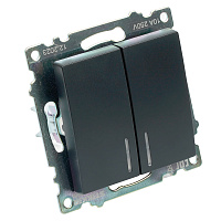 Выключатель 2-клавишный c индикатором (механизм), STEKKER GLS10-7102-05, 250В, 10А, серия Катрин, черный 39607 Выключатель 2-клавишный c индикатором (механизм), STEKKER GLS10-7102-05, 250В, 10А, серия Катрин, черный 39607