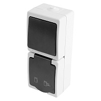 Блок вертикальный: розетка 1-местная с/з+  выключатель 1-клавишный STEKKER, PST16-11-54/10-111-54, серый/графит  49725